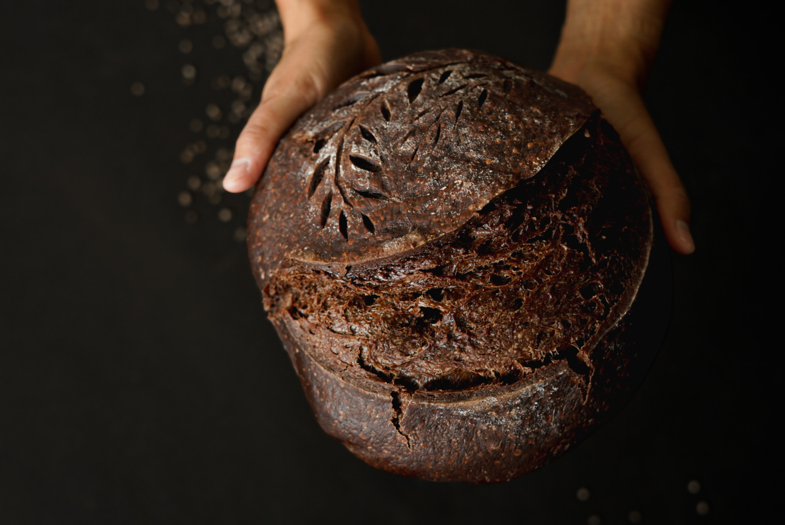 chocolate sourdough loaf